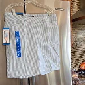 Hilary Radley Blue and White Striped Shorts